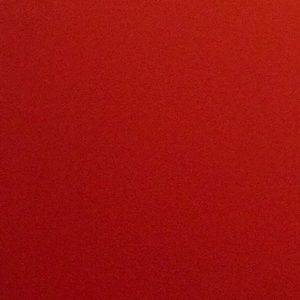 Meet your Posher, Mickey